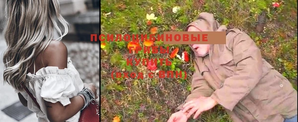 стаф Алексеевка
