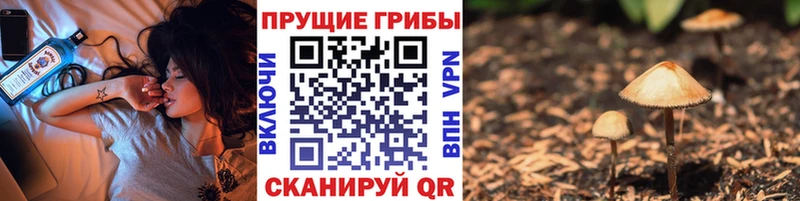 Галлюциногенные грибы Psilocybine cubensis  купить закладку  Бобров 