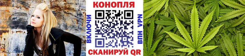 Конопля White Widow  как найти наркотики  Бобров 